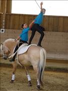 voltitag 2009 _CD1 126